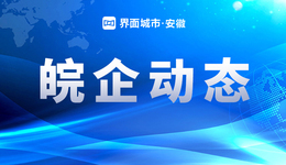 政策紅利觸手可及！合肥智海推出“AI益企”