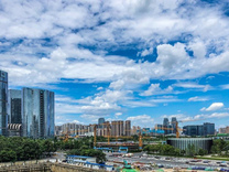 新希望一季度净利润4.45亿元，同比扭亏为盈