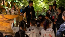 東北首家！哈爾濱極地公園上新，擼蟒蛇摸巨蜥太刺激