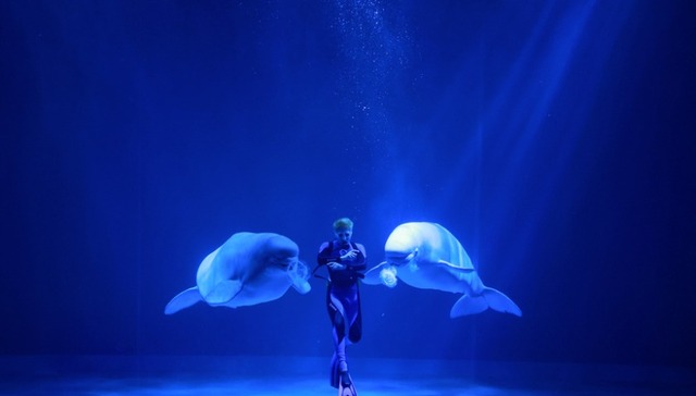 哈尔滨极地公园五一首日游客破万 焕新演艺与全新场馆引爆全民打卡热潮