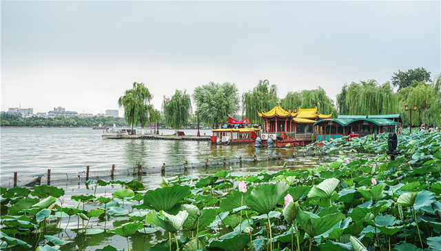 山东文旅观察｜出游热情高涨！5月2日济南30家重点监测景区接待游客超90万人次