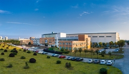 合肥 BEST 項目加速！合鍛智能借勢漲停，可控核聚變賽道再掀熱潮