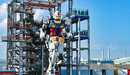 谷子硬控“00后”，有人為直播抽谷囤泡面