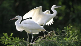 一城十二景，一日一風華！“5·19中國旅游日”寧波倒計時系列活動啟動