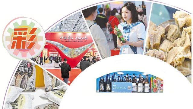 哈洽时间丨山东展区、宁夏展区、新疆阿勒泰地区展区、新疆生产建设兵团第十师北屯市展区、西藏展区、广东展区、深圳展区、黑龙江展区