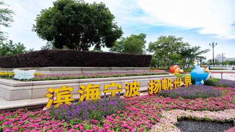 2025中国-中东欧国际帆船赛暨宁波国际帆船赛正式起航