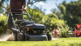明星機(jī)器人項目倒閉的背后，一場淘汰賽拉開帷幕