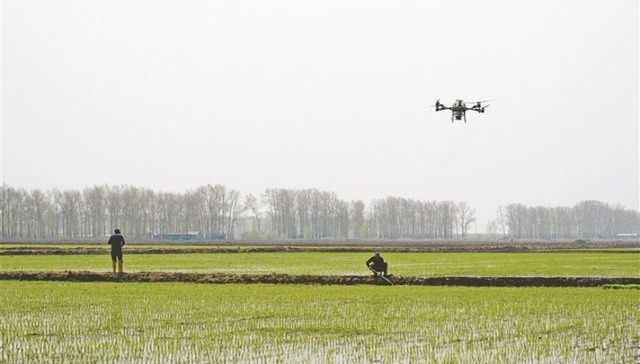 普阳农场描绘智慧耕种新画卷