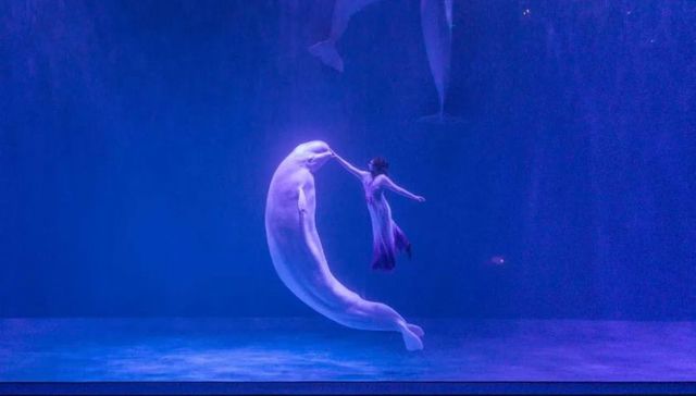 端午哈尔滨暴走指南：撞鸡蛋×玩索道×看白鲸秀，传统新潮一站嗨翻！