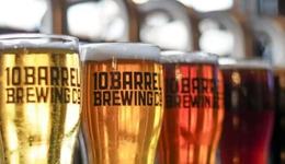 10萬瓶一周搶售一空：云南“見手青啤酒”賣瘋，背后代工廠竟欠債400萬？