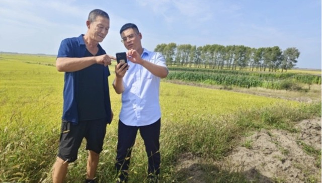 看金融“五篇大文章”如何助力龙江高质量发展