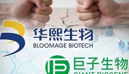 “玻尿酸女王”追着打，陕西女首富危险了