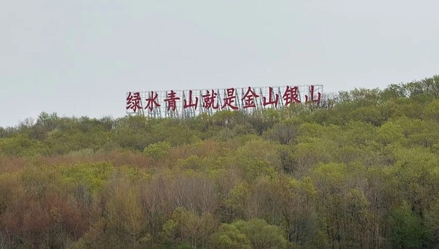 经济视点｜看北方高寒地区废弃矿山生态修复“方正模式”