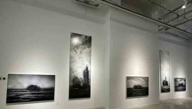 艺术与AI时代对话：中国当代艺术教育年展开幕