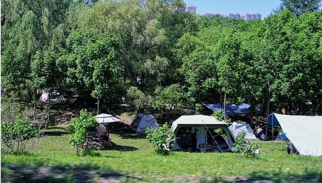 冰城公园共享绿地如何打开“躺坪”新方式？