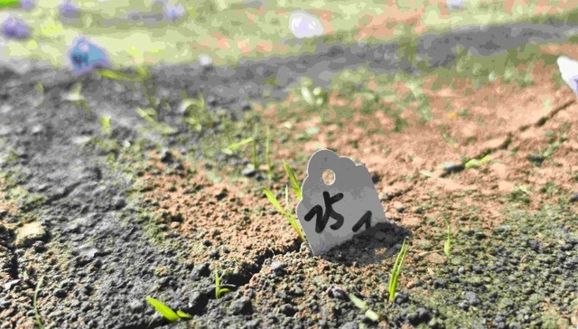 龙江种企：赋能“智慧芯”革新产业链