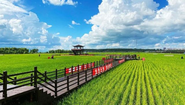 首批线路发布！跟着地理标志游冰城