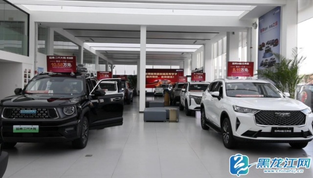 哈尔滨市道里区借势“夏韵冰城・惠购启程”强势激活汽车消费热潮