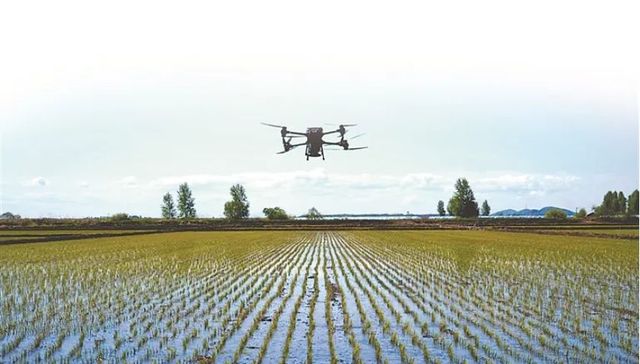 黑龙江高校新增37个专业：产业升级下的教育应答与地域逻辑