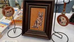 寵物殯葬從“小眾”走向“主流”