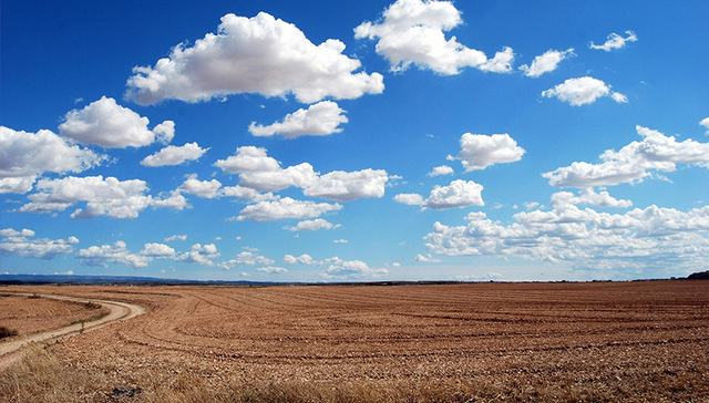 河北邯郸5.5亿成交三宗地块 两宗相邻地块溢价率为38.6%