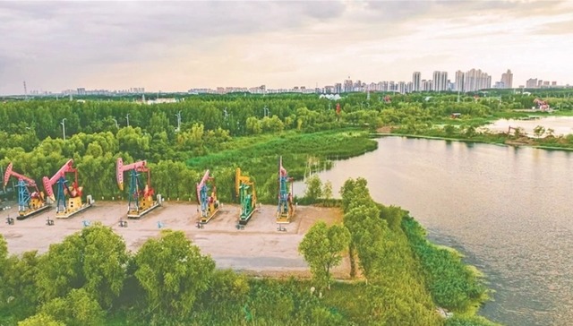 大庆油田：黑金沃土绽绿颜