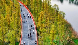 九大入选名单揭晓！成都顶流是→