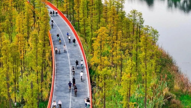 九大入选名单揭晓！成都顶流是→