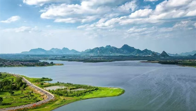 成果丰硕！滕州 12 家企业亮相第九届中华老字号博览会 