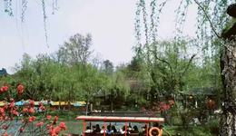 “蘇超”火爆：誰在入局？能帶來多少收益？