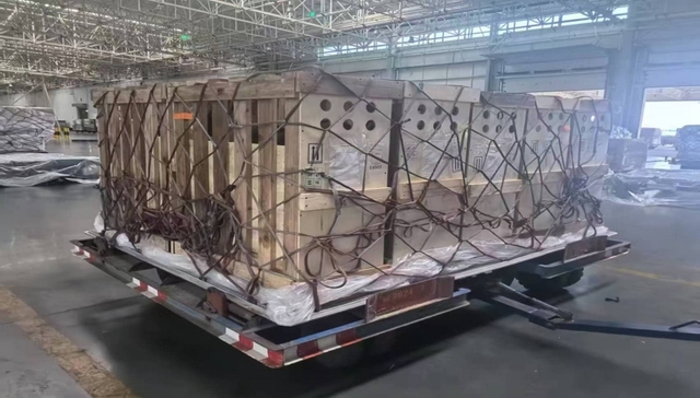 历经10年，四川自主培育山羊新品种首次出口