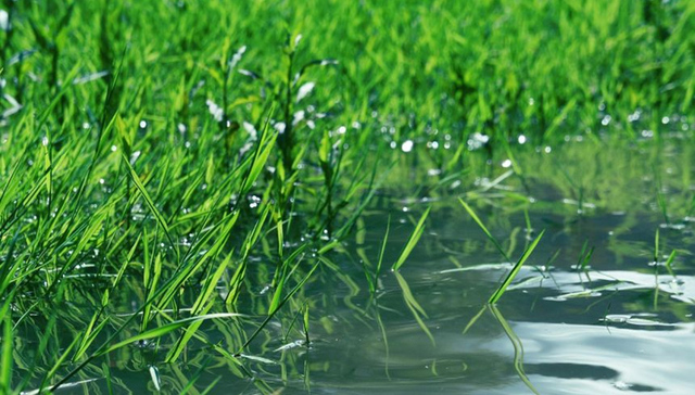 四川首部用水权交易规范性文件印发