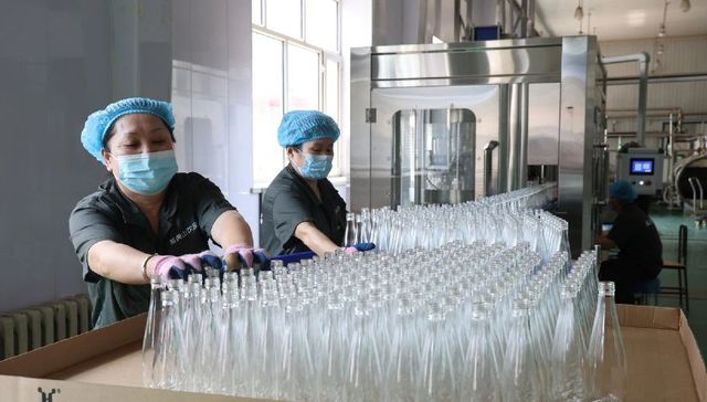 白桦树汁生产忙 销量已超百万瓶