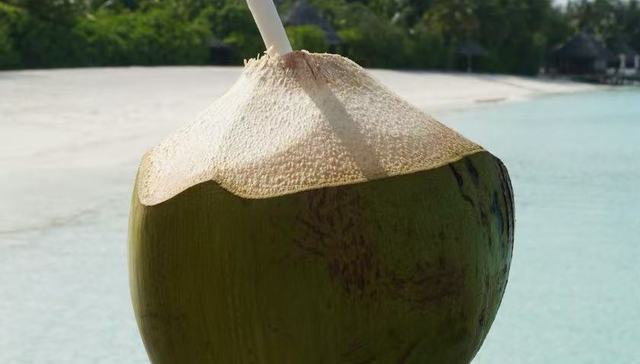 46名员工创收11亿元，肖战代言的if椰子水上市大涨超40%，钟睒睒持股基金获配84.68万股