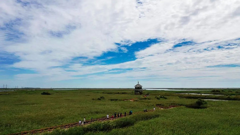 时评 | “慢旅深游”正当时，东营有着更高的期盼