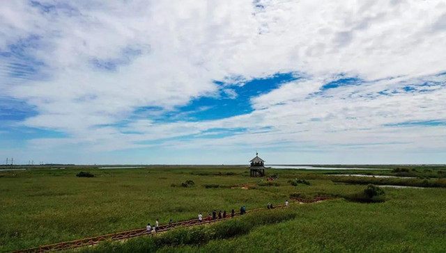 时评 | “慢旅深游”正当时，东营有着更高的期盼