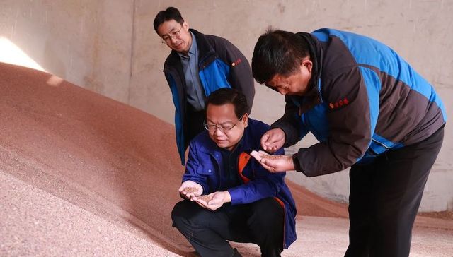 古贝春系列通讯之二：粮骨曲魂——北派浓香的品质哲学