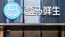 盒马“断舍离”，严筱磊推翻侯毅？