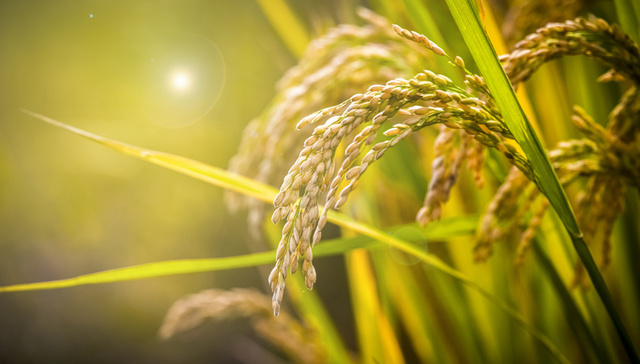 滨州青春“硬核”力量重塑产业新坐标