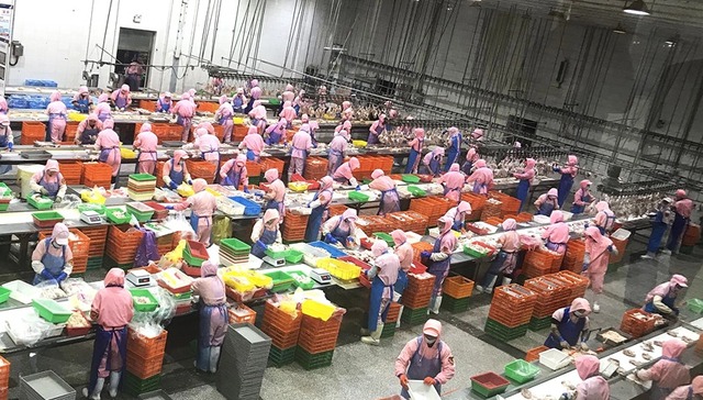 大庆农产品精深加工年收入突破251亿