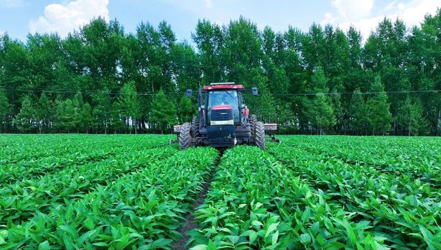 新技术赋能大豆中耕作业更智能高效