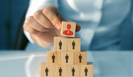 联席CEO，创业公司的“毒药”？