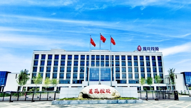 芜湖市莲泰投资控股 莲花控股未分配利润持续为负