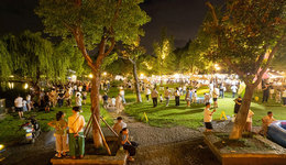 游客超6萬人次，慈城“仲夏慈湖夜”火爆開市