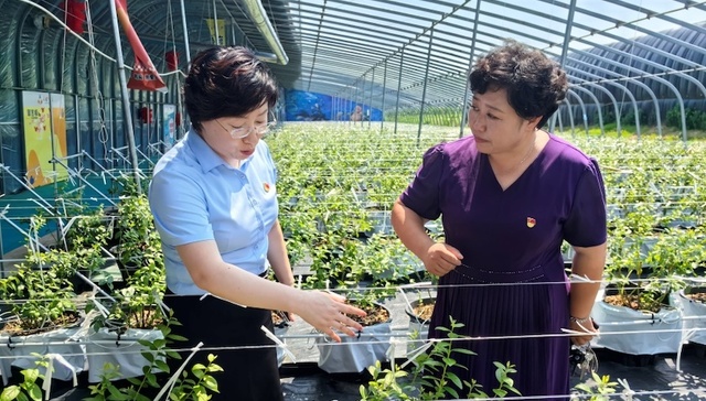 金融活水润港城：中国人寿烟台分公司绘就普惠金融温暖画卷