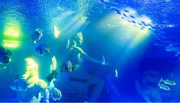 哈爾濱網(wǎng)紅新地標，全國首個多維感官深海景觀隧道啟幕