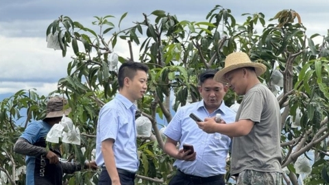 邮储银行攀枝花市分行切实打通服务三农“最后一公里”