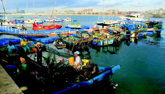 青岛成立创新联合体　共建智慧海洋产业新生态