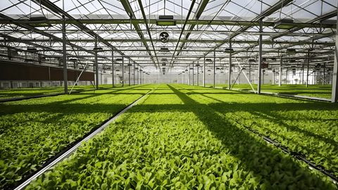 山西农业领域如何培育发展新质生产力？