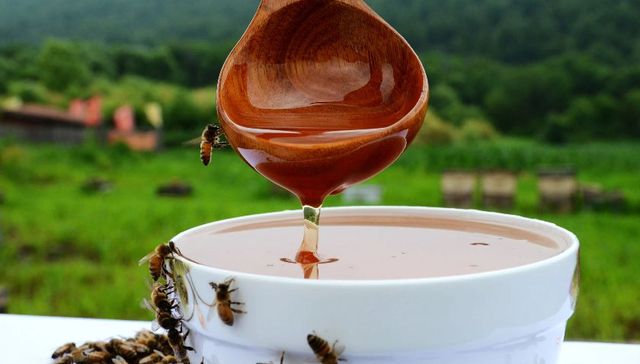 宁安：“蜂”起云涌 小蜜蜂酿出大产业